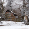 Dsc_00071_thumb