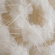 Frosty_moment_card