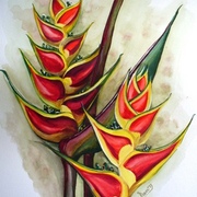 P1000024_card