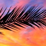 Sky_21_card