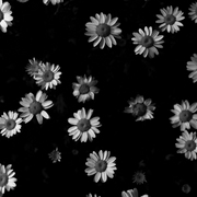Thursday_7_a_b_w_card
