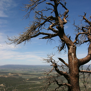 Mesa_verde_7_card