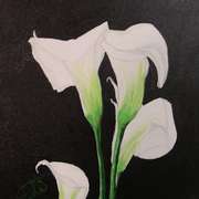 Calla_lily_card