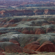 Painted_desert_card
