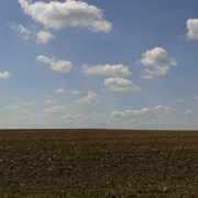 Mariobros_landscape_4_copy_card
