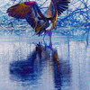 Blueherrontoucan_thumb