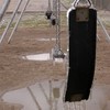 Swingin_thumb