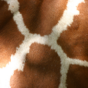 Giraffe_card
