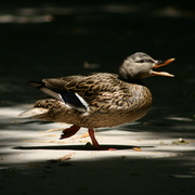 Img_8039_card