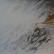 Img_4752_copy_card