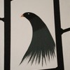 Birds_1_thumb