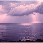 Naxos_1982a_card