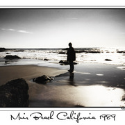 Nybildmuirbeachwebb_card