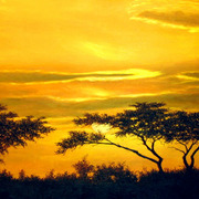 Africa_card