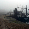 Mist_opportunity_web_thumb