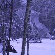 Img_0001_card