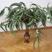 Img_1776_card