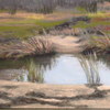 Nelsonparkmarsh_thumb