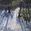 Backyardwinterblues_thumb