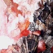 P4244_card