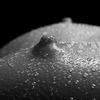 Body-2_thumb