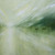 Lakelight_zoa_tiny_square