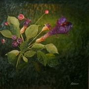 Purple_flower_1200_card