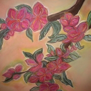 Branch_blossoms_card