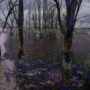 Arboleswintersmall_card