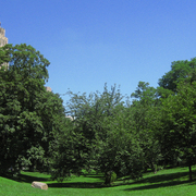 Ny2_card