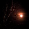 Fullmoonmar1109_006fixed_thumb