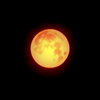 Fullmoonmar1109_014_cropped_thumb