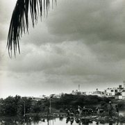 Img116_card