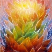 Metamorphosis_web_card