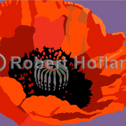 Poppy_card