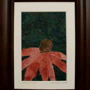 Coneflower_web500_card
