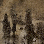 17289_1__card