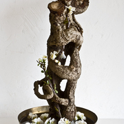 The-embrace-ikebana-116_card