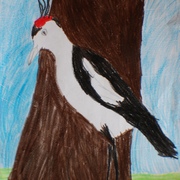 Dsc_0049_card