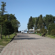 Img_0865_card