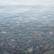 Img_1070_card