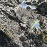 Img_0853_card