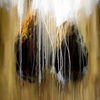 To_become_09_40x30x1