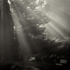 _mg_7290_sq_bw_lowres_thumb