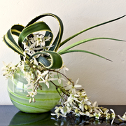 Ikebana-117_card