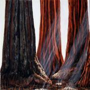 _sequoia_card