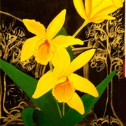 Yellow_orchids_2_card