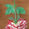 Love_rose_by_cynthia_3_thumb