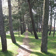 Img_0885_card