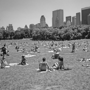 Ny_27_card